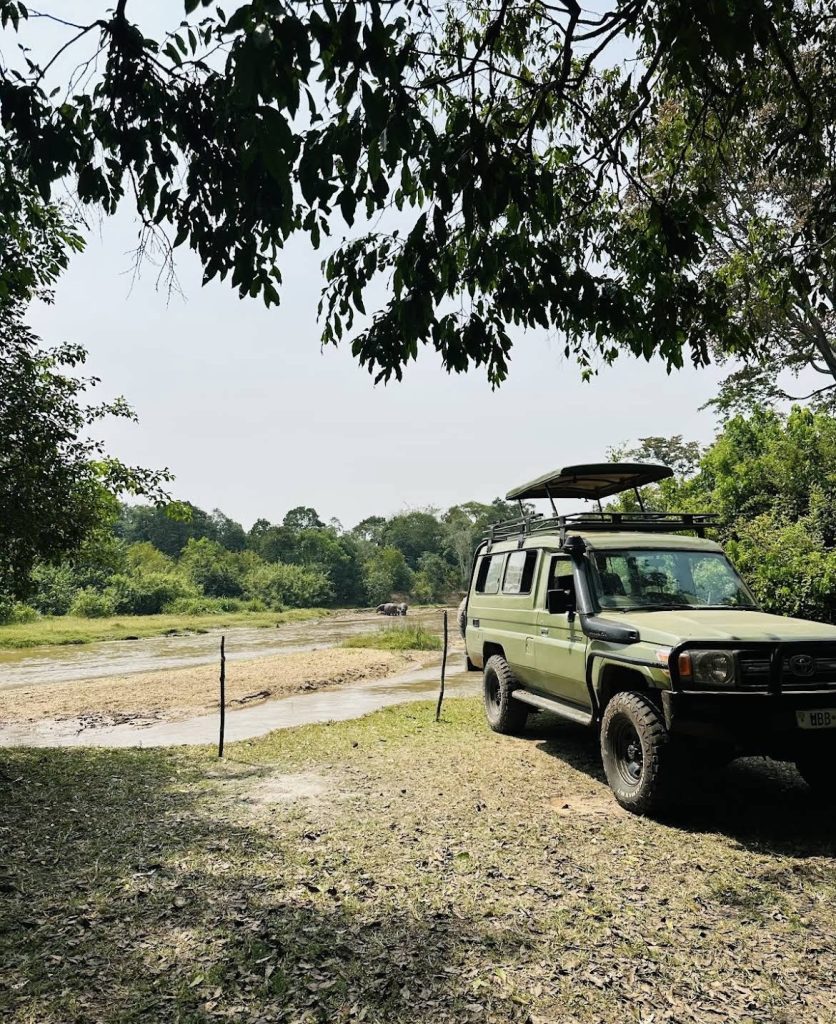 Safari Vehicle Driving Through African Bushland